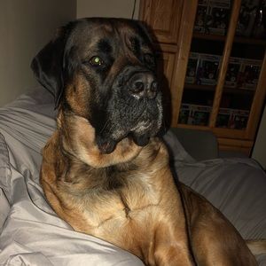 Meet your Posher, Betsy